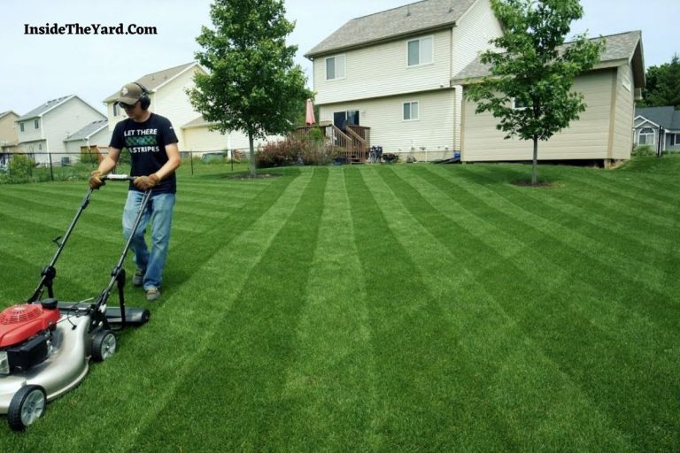 How to Fix Lawn Striping from Fertilizer- Best Way to Fix