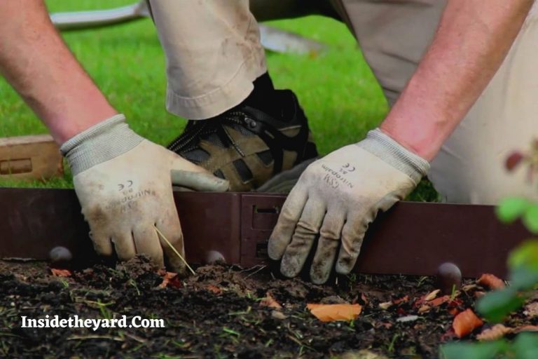 Cómo quitar los bordes de plástico del jardín – Conozca todas las técnicas en detalle