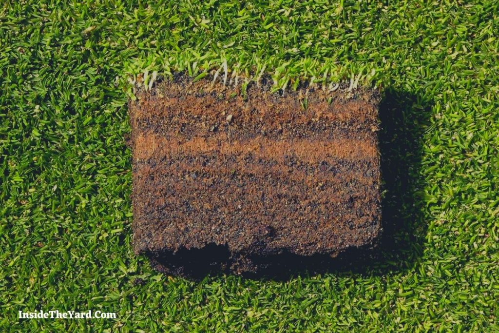 What Type Of Oil To Use In Kubota Diesel? Everything’s Right Here!!