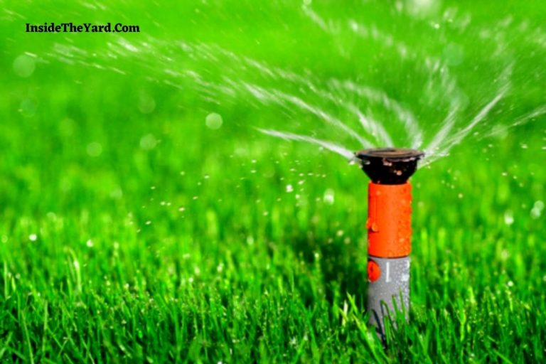How to Water Narrow Strip of Lawn? Master the Techniques Now!