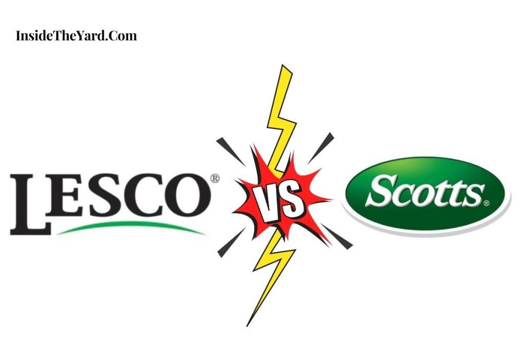 Is Scotts Turf Builder Any Good? Untold Facts To Know!