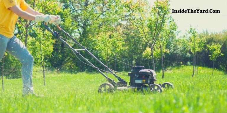 What Time Can I Start Cutting My Lawn- Any Mowing Law? - Inside The Yard
