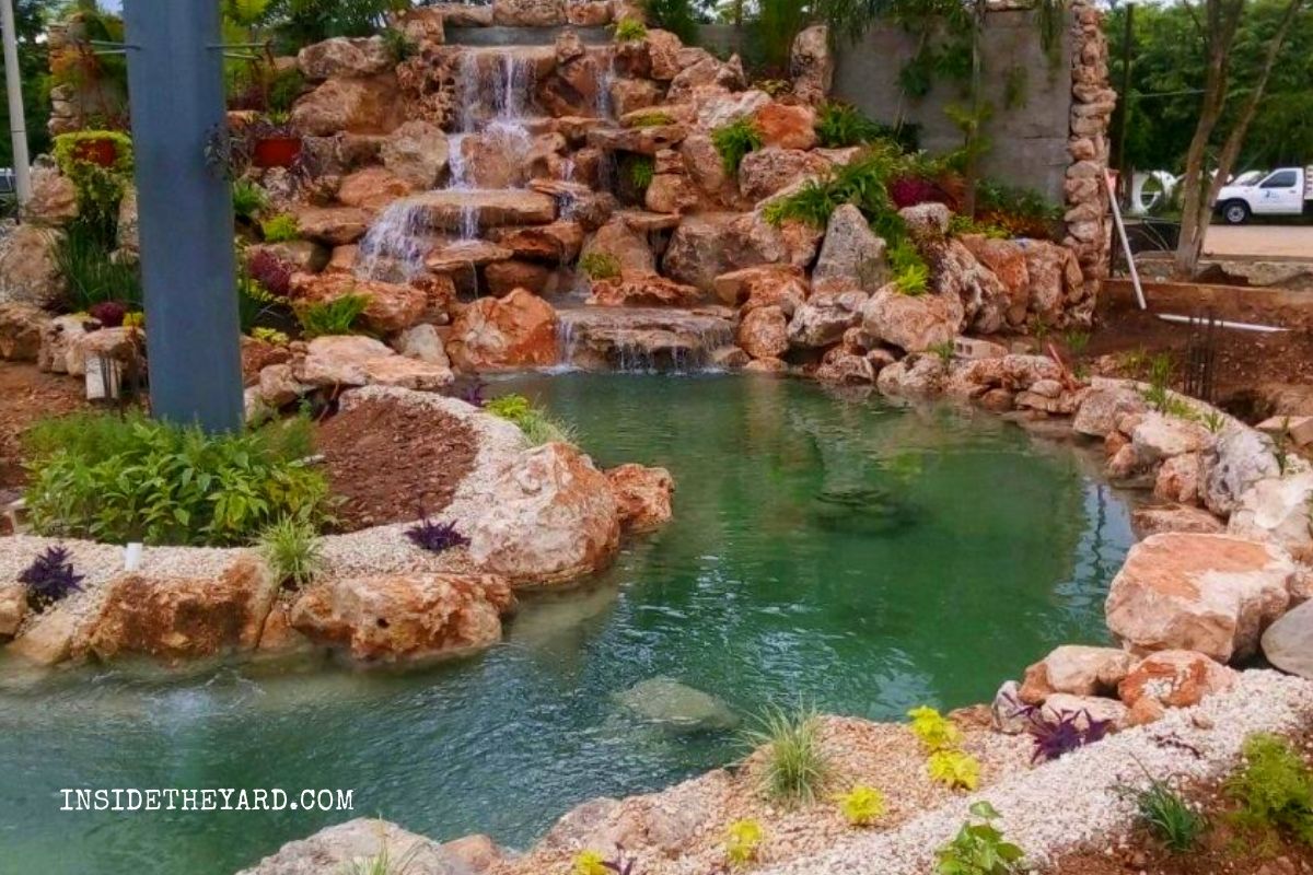 How To Drain And Fill In A Pond A Complete Guide