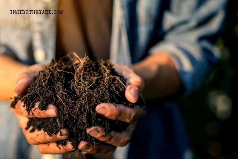 [Respuesta rápida] ¿Son buenas o no las cáscaras de cacahuete para el compost?