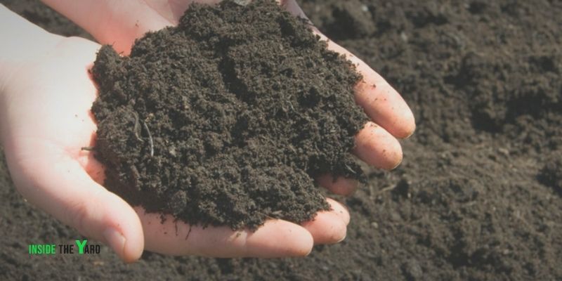Can You Put Topsoil Over Sand To Grow Grass