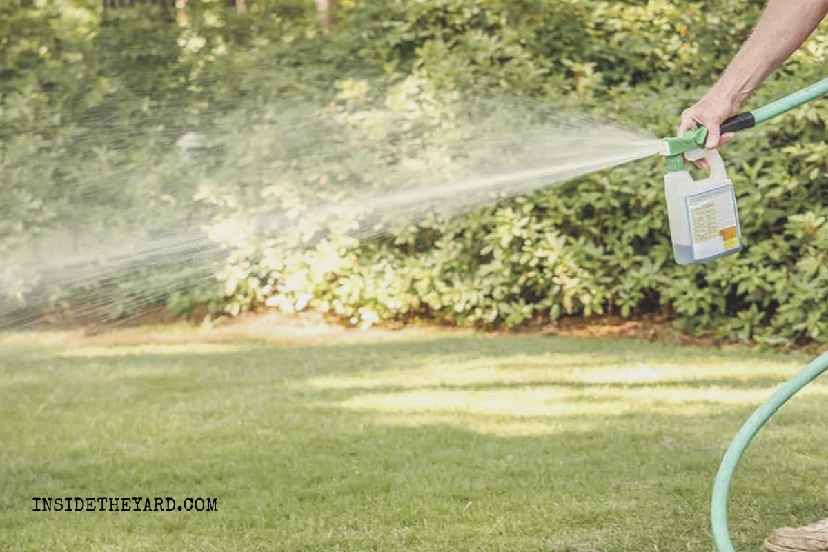 How Long Does Weed Killer Need Before Rain Not Early Not Late