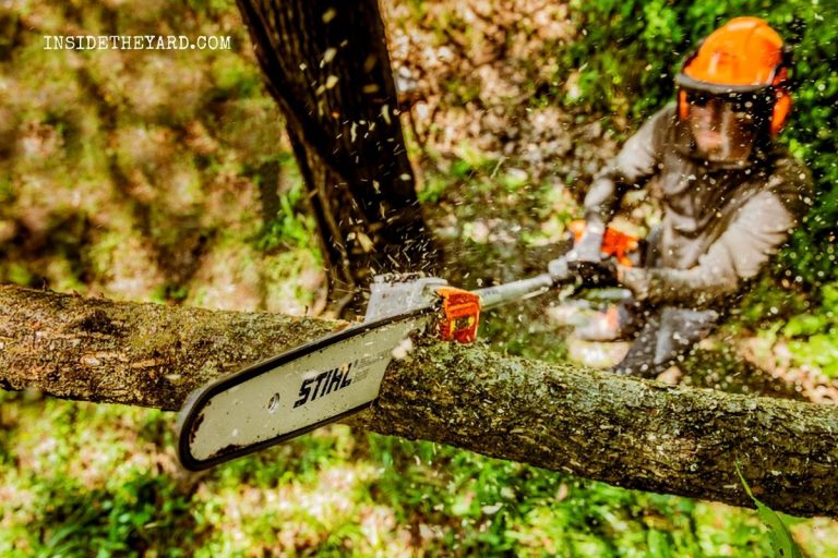 Stihl Ht 131 Vs Ht 133: ¿Cuál es más eficaz?
