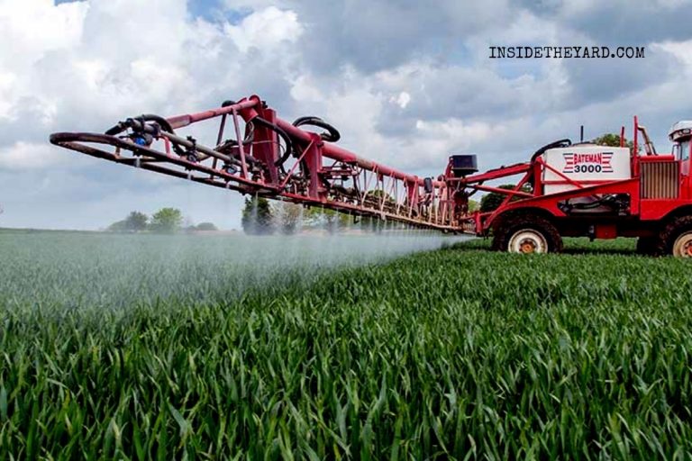 Best Way Of Spraying Fungicide in Hot Weather and Its Effectiveness