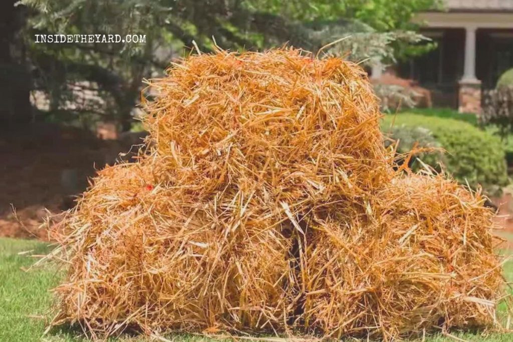 Mobil 424 Equivalent Know All The Equally Effective Alternative Oil Of