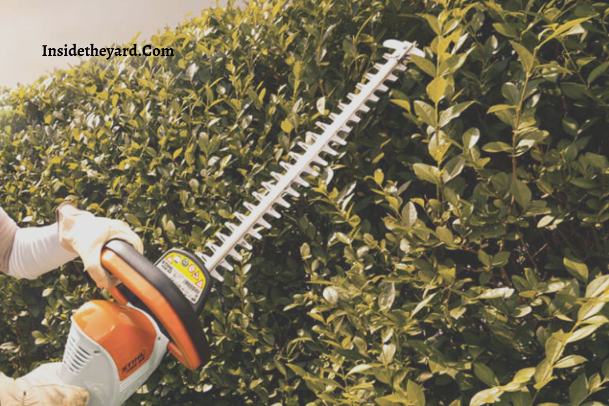 Stihl Hedge Trimmer Troubleshooting 5 Main Problems+How To Solve!