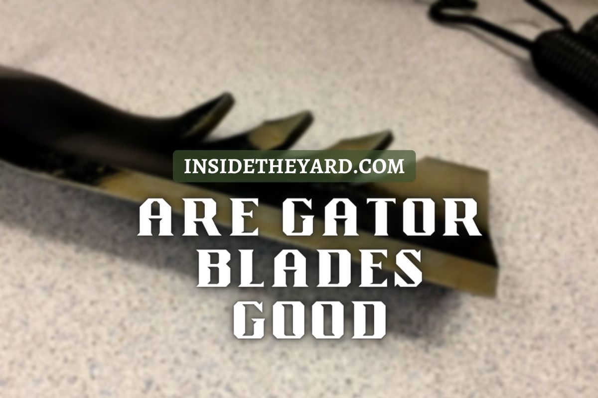 Are Gator Blades Good Or Not? Let’s Reveal The Facts