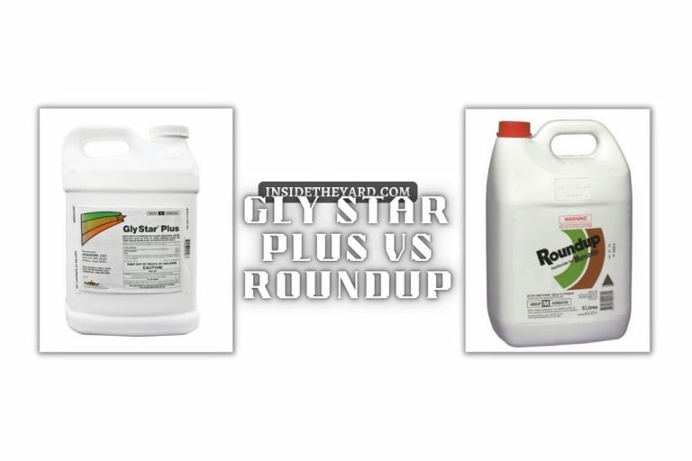 ¡Gly Star Plus Vs Roundup- We’ve Answered Everything, YES!