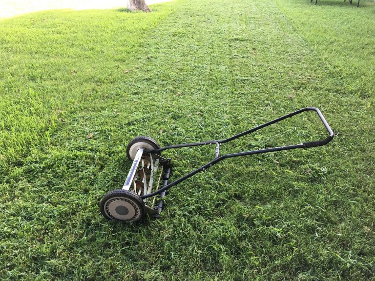 Lawn Aerator Vs Dethatcher Vs Scarifier Inside The Yard