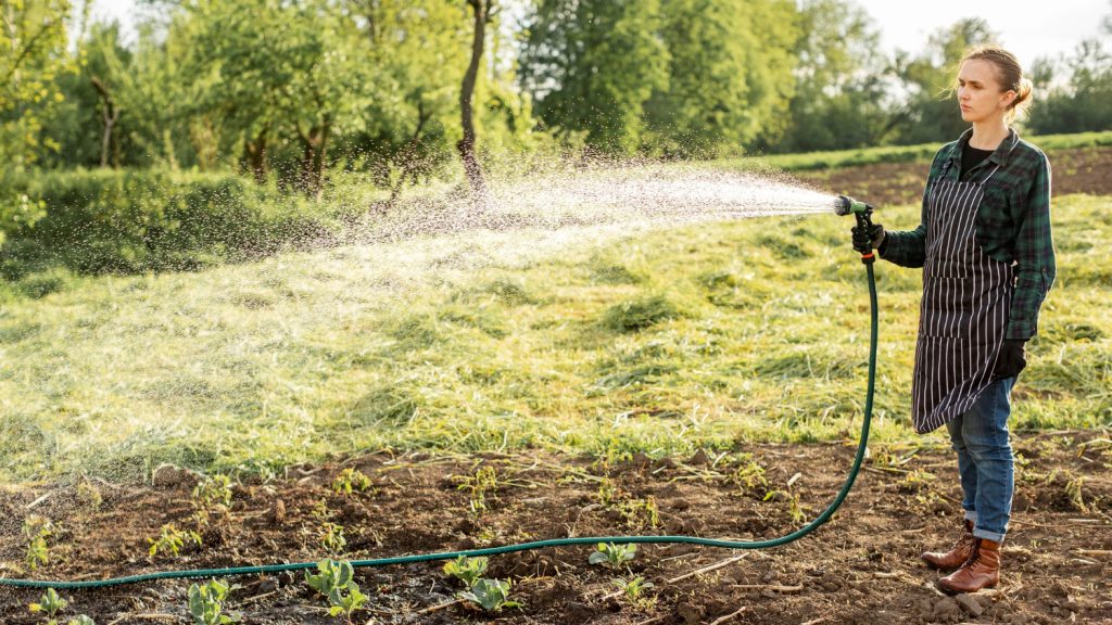 Woman Watering Crops