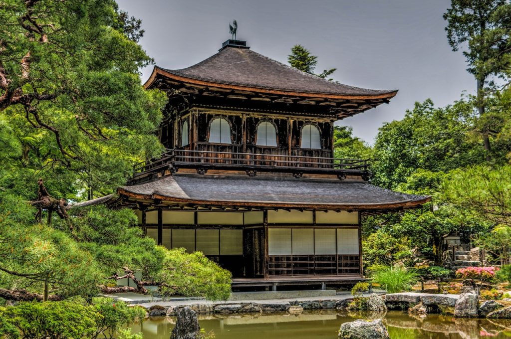 lawn pond