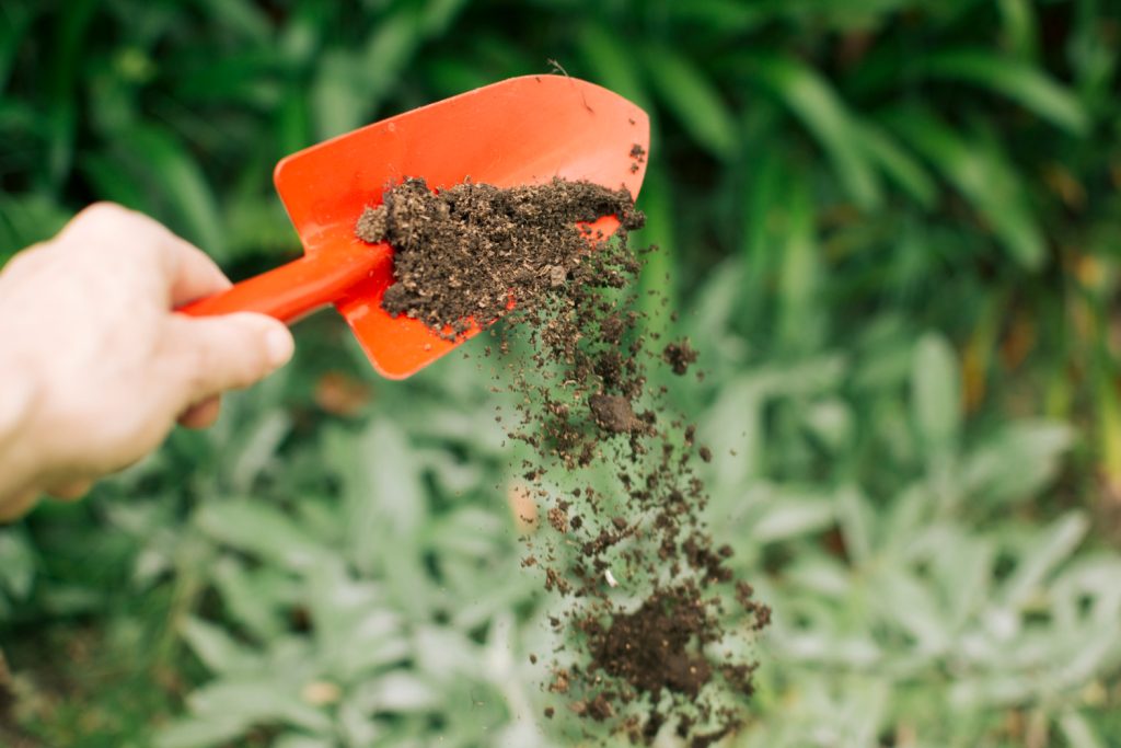 The hand pours the earth from the trowel