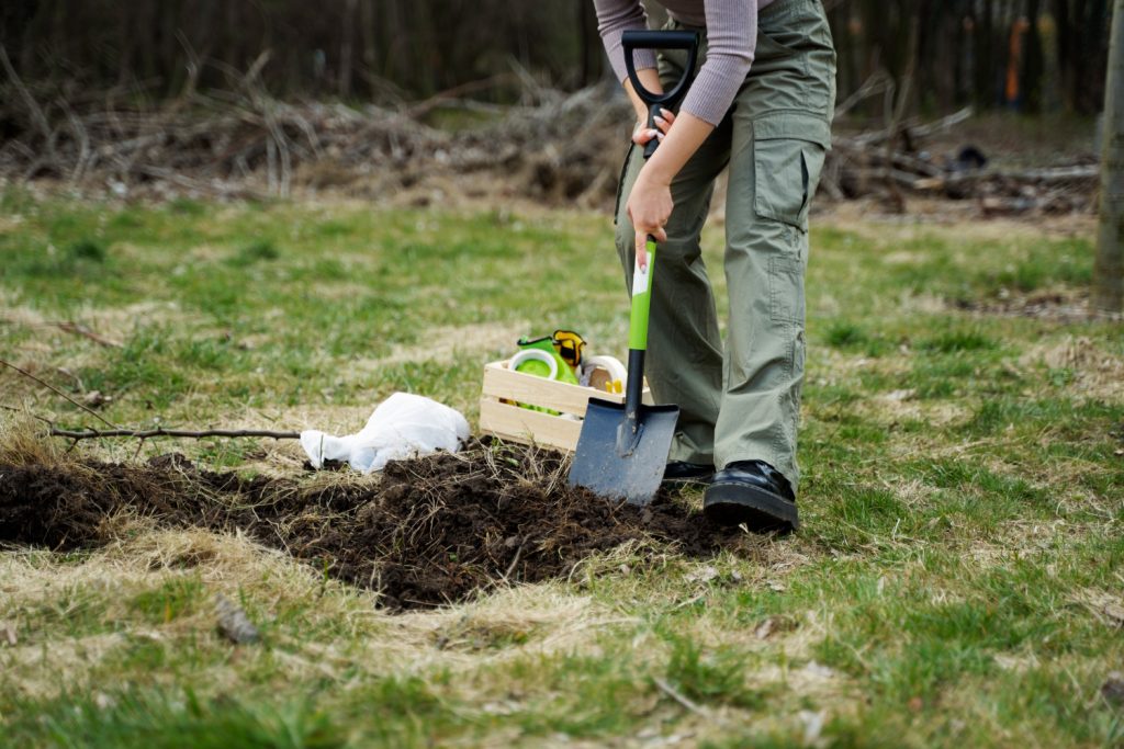Planting trees