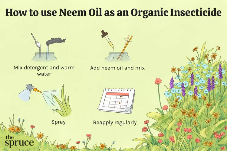 neem oil benefits illustration