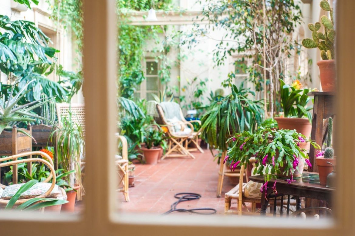 harry-grout-vosvrrgIKgQ-unsplash green potted plants on brown wooden table