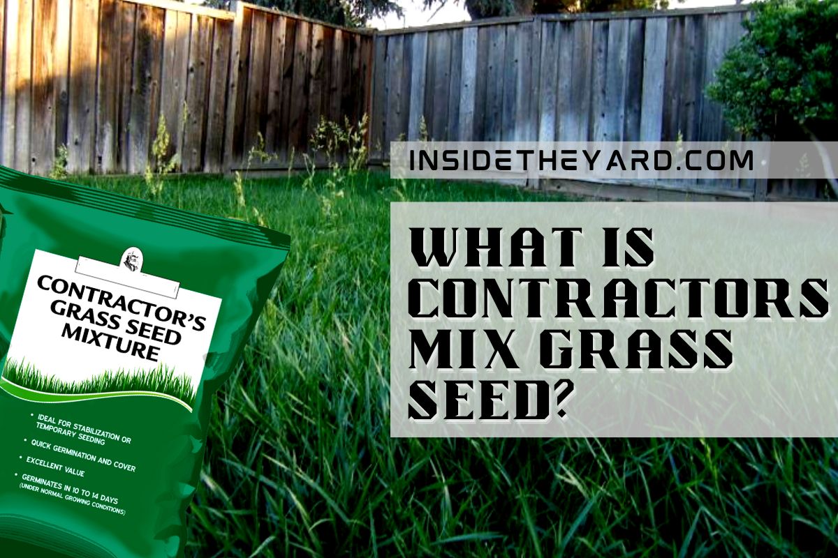 What Is Contractors Mix Grass Seed? Beneficial Grass Facts For Your